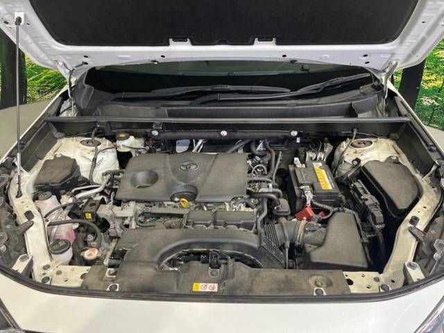 Toyota RAV4 2019-05 5725-18