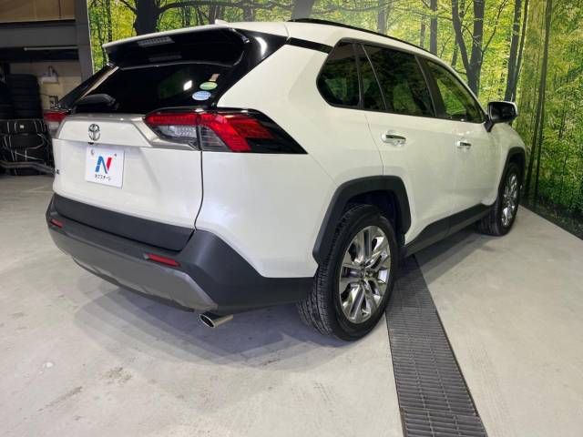 Toyota RAV4 2019-05 5725-17