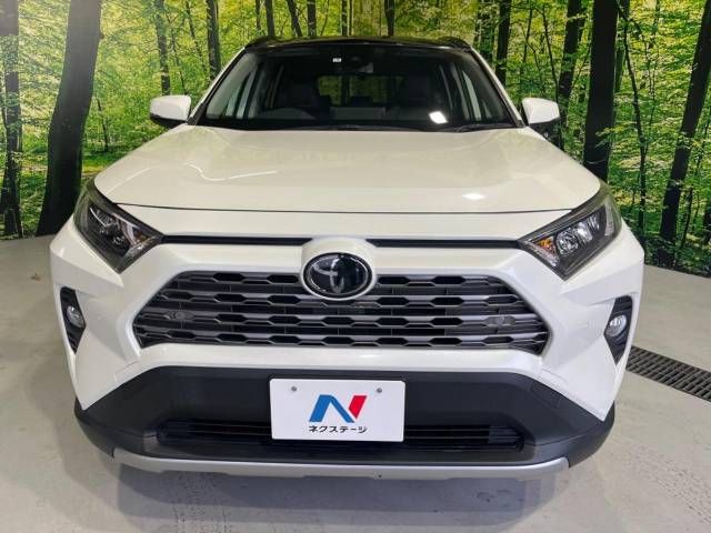 Toyota RAV4 2019-05 5725-14