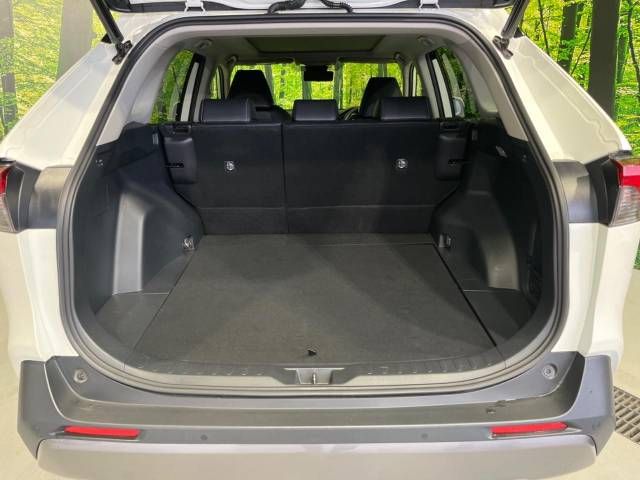 Toyota RAV4 2019-05 5725-10