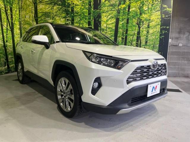 Toyota RAV4 2019-05 5725-16