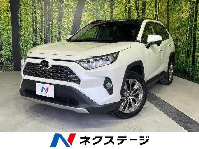 Toyota RAV4 2019-05 5725-0