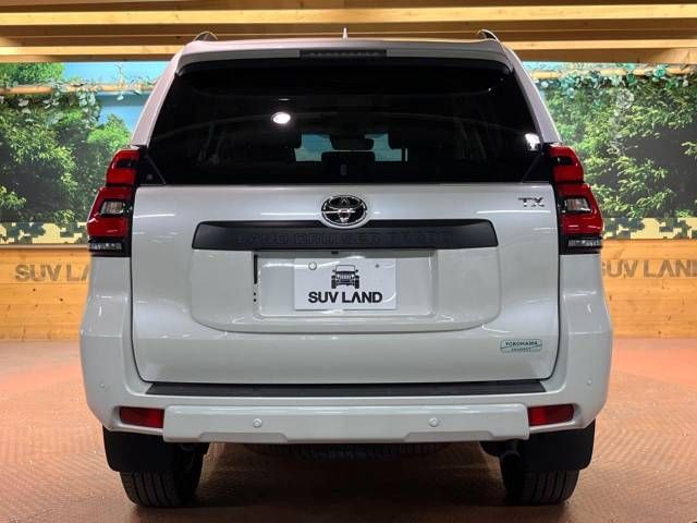 Toyota PRADO 2022-11 14204-19