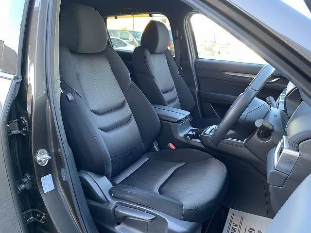 Mazda CX-8 2020-06 28832-7