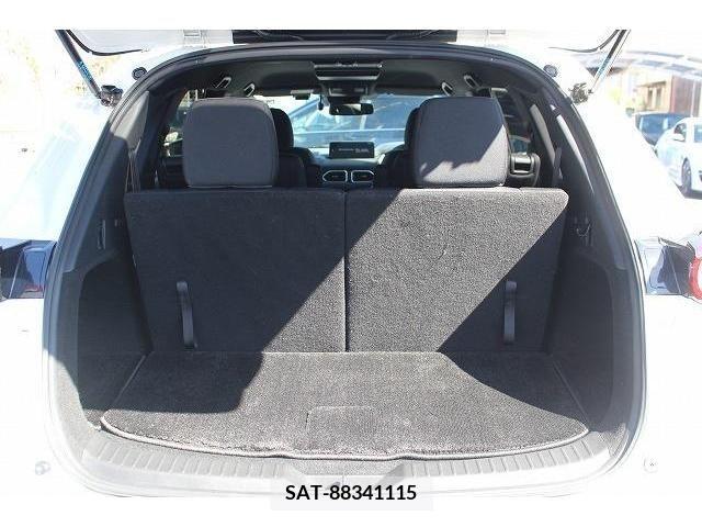 Mazda CX-8 2021-03 220232-18