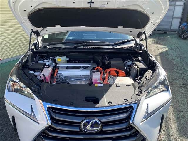 Lexus NX 2016-11 27346-25