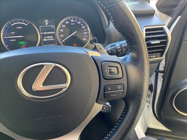 Lexus NX 2016-11 27346-18