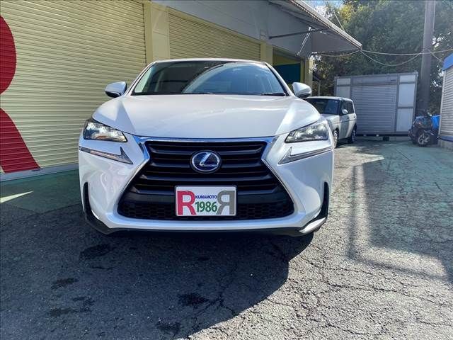 Lexus NX 2016-11 27346-28