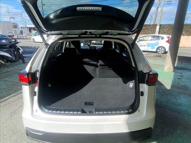 Lexus NX 2016-11 27346-10