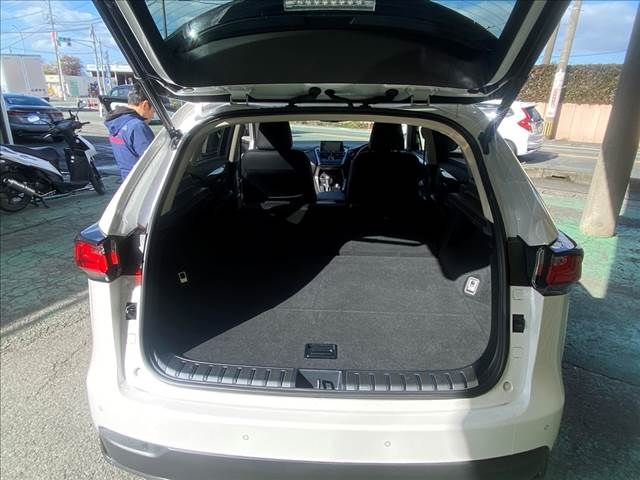 Lexus NX 2016-11 27346-13