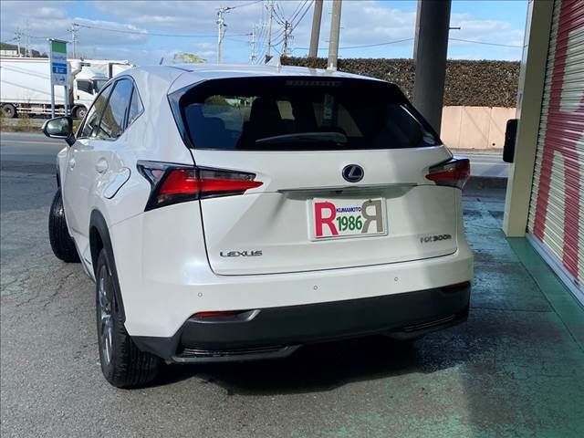 Lexus NX 2016-11 27346-6