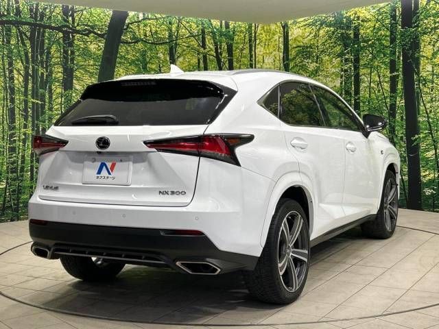 Lexus NX 2018-03 185516-18