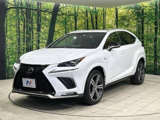 Lexus NX 2018-03 185516-17