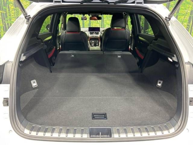 Lexus NX 2018-03 185516-11
