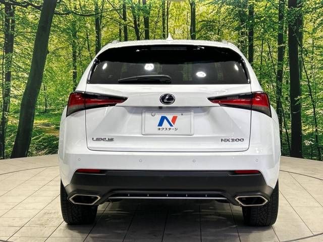 Lexus NX 2018-03 185516-16