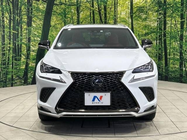 Lexus NX 2018-03 185516-15