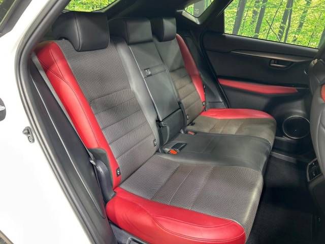 Lexus NX 2018-03 185516-10