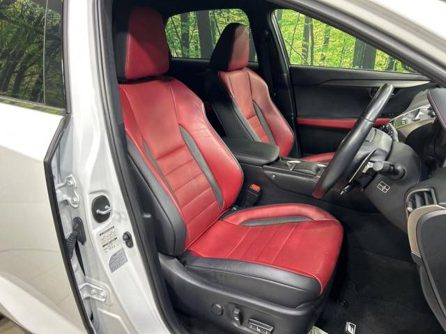 Lexus NX 2018-03 185516-9
