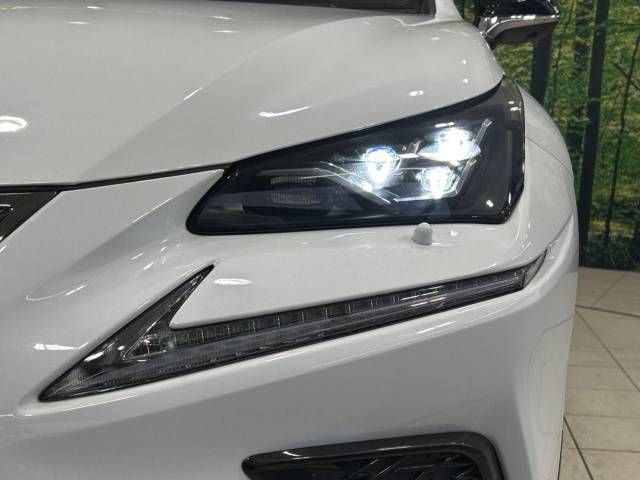 Lexus NX 2018-03 185516-13