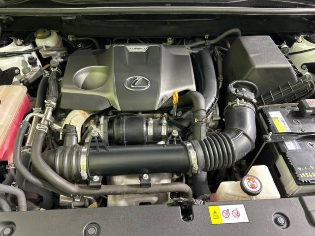 Lexus NX 2018-03 185516-19