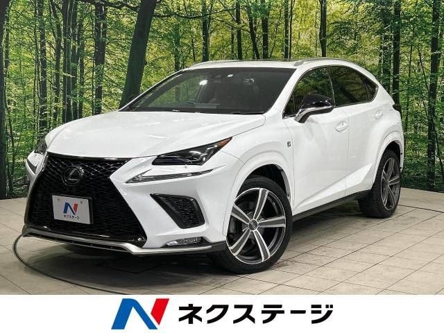 Lexus NX 2018-03 185516-0