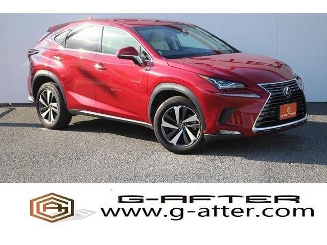 Lexus NX 2017-10 8176-0