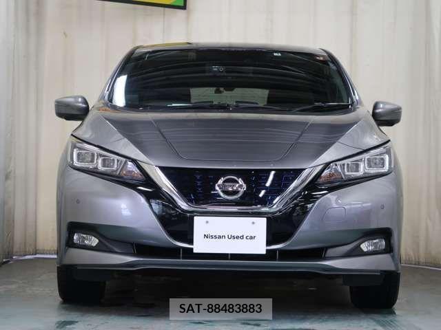 Nissan LEAF 2019-02 221542-17