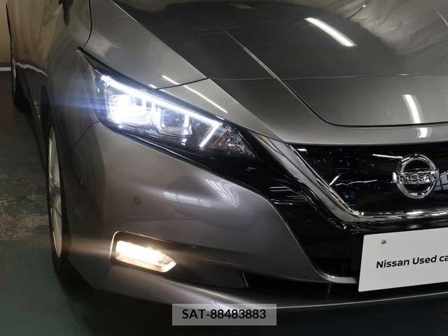Nissan LEAF 2019-02 221542-2
