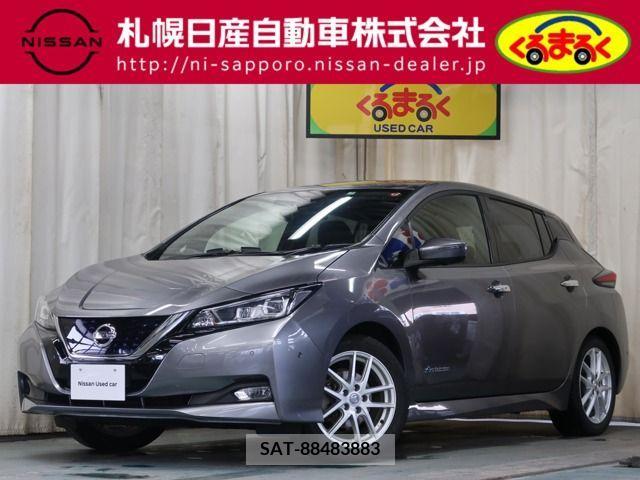 Nissan LEAF 2019-02 221542-0