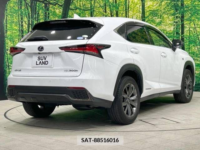 Lexus NX 2018-11 275716-17