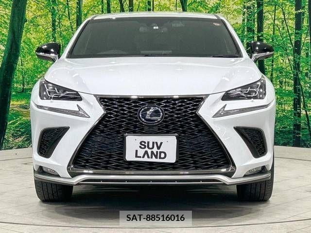 Lexus NX 2018-11 275716-14