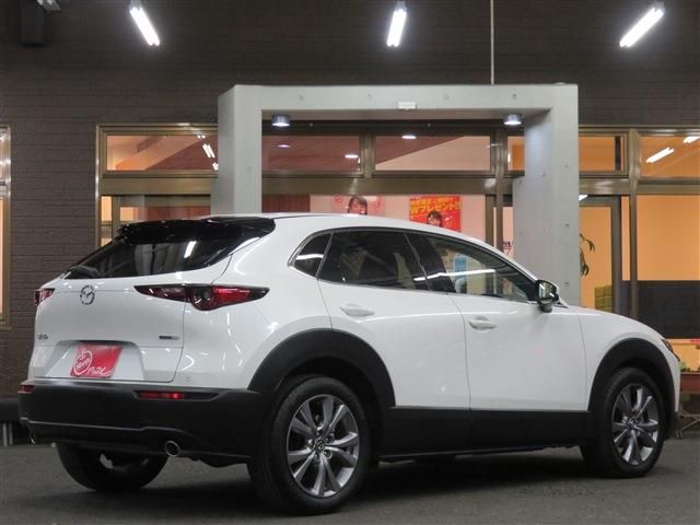 Mazda CX-30 2021-12 9089-3