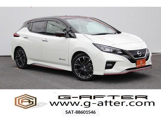 Nissan LEAF 2019-06 324798-0