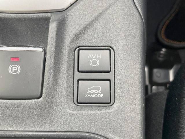 Subaru SUBARU 2019-01 4890-4