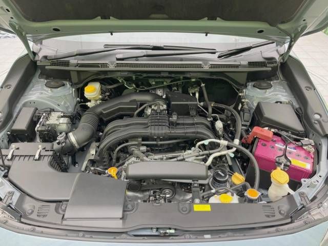 Subaru SUBARU 2019-01 4890-18