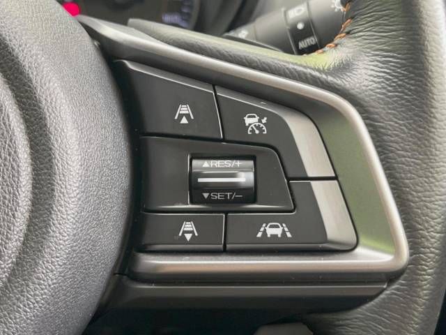 Subaru SUBARU 2019-01 4890-7