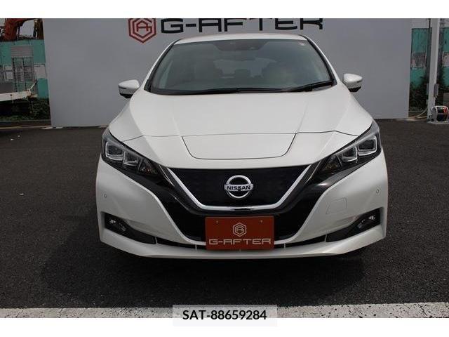 Nissan LEAF 2019-06 340547-7