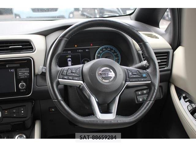 Nissan LEAF 2019-06 340547-16