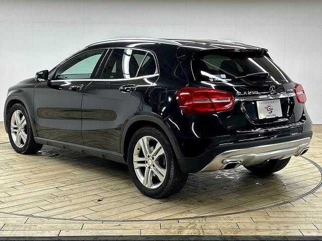 Mercedes Benz GLA-CLASS 2014-10 19234-16