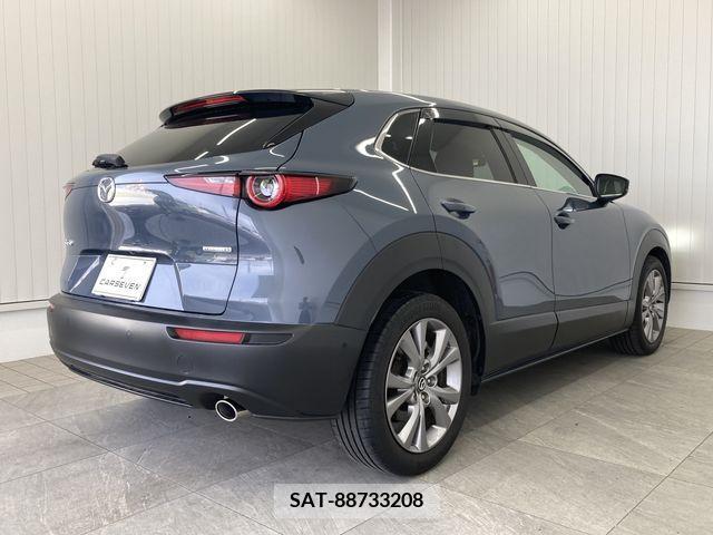 Mazda CX-30 2019-11 334885-2