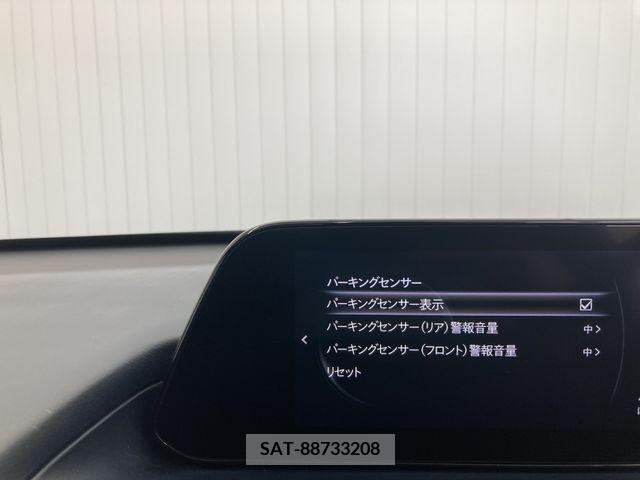 Mazda CX-30 2019-11 334885-17