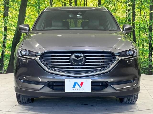 Mazda CX-8 2018-01 24115-15