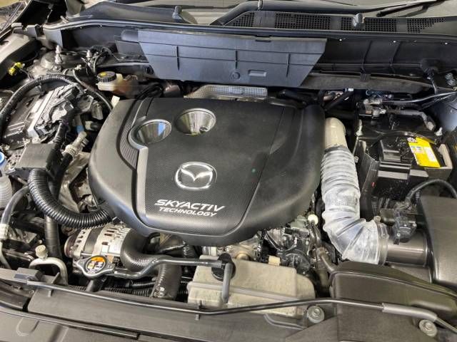 Mazda CX-8 2018-01 24115-19