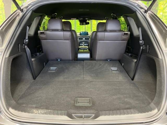 Mazda CX-8 2018-01 24115-11