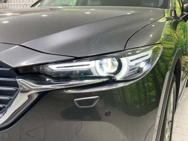 Mazda CX-8 2018-01 24115-14