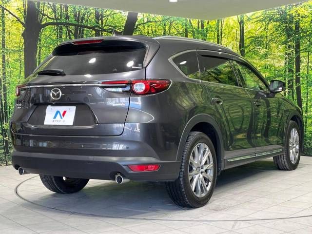 Mazda CX-8 2018-01 24115-18