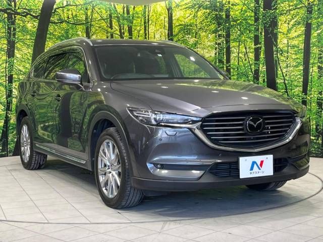 Mazda CX-8 2018-01 24115-17