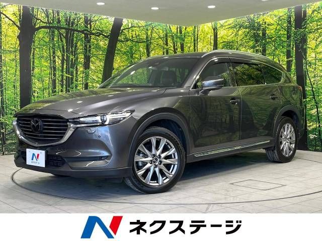 Mazda CX-8 2018-01 24115-0