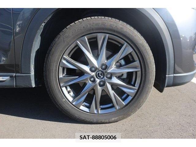 Mazda CX-8 2019-08 222948-11