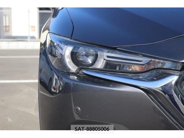 Mazda CX-8 2019-08 222948-9